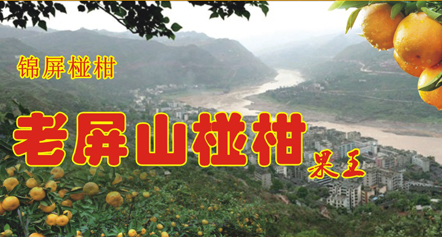 ��ɽ�ո��������װӡˢ